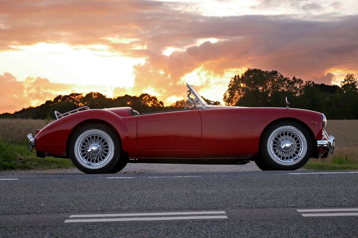 No momento, você está visualizando Vivamus tortor magna