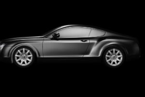 Leia mais sobre o artigo Cras feugiat semper justo